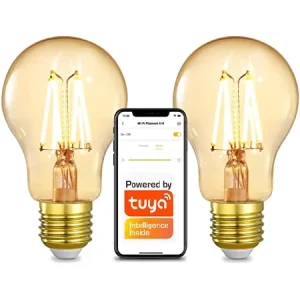 100-130V/220-240V E27/E26/B22 A19/A60 RGB WiFi Smart LED Bulb