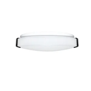 12/14 Inch Modern AC-Powered LED Ceiling Light for Bathroom, ETL/cETL Certified
