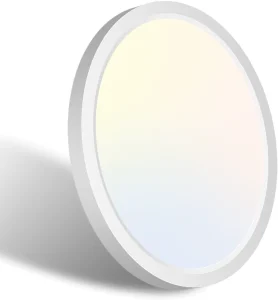12 Inch 24W 3000K 5000K 6000K Nordic Round Ultra-Thin Recessed LED Ceiling Light