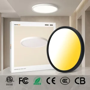 12″ Modern LED Ceiling Light 3CCT 3000K-5000K Adjustable Slim Panel Flush Mount Lamp for Bedroom and Living Room