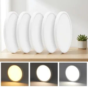 12-inch Super Slim LED Ceiling Light 3000K/4000K/5000K 3CCT Dimmable Surface Mount Light for Bedroom Living Room