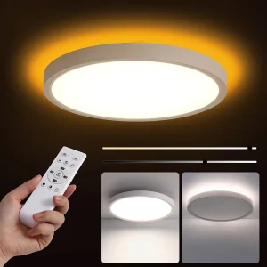 12.2 Inch LED Ceiling Chandelier with Remote Control for Living Room