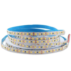 120-LED White/Red/Green/Blue 12V/24V LED Strip Light SMD2835 10mm Waterproof Flexible LED Strip Tape