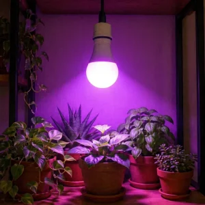 120V E26 Red Blue LED Grow Bulb Smooth Dimming Zero Flicker Plant Supplement Light for Home Garden Potted Herbs Succulents