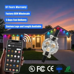 12V 24V 36V Permanent Christmas Lighting Outdoor 3 Led Track Light House Decoration IP68 Waterproof Rgb Rgbw Pixel Point Light