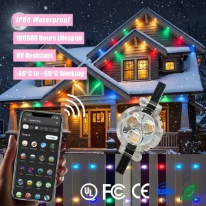 12V 24V 36V RGBW LED Point Lights with Smart Controller, IP68 Waterproof, Outdoor Eave and Soffit Lighting