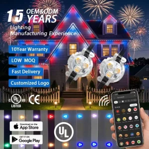 12V 24V 36V Smart App Controller Eave Pixel Point Lights IP68 Waterproof Permanent Christmas Decoration Lighting