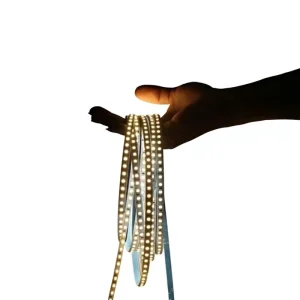 12V/24V SMD LED Strip Light with Self-Adhesive Backing IP20 Dimmable Flicker-Free