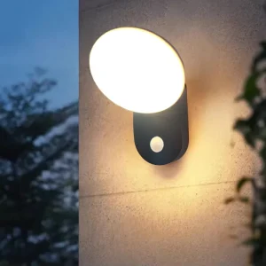 12W Motion Sensor Round Brush Shaped Wall Lamp LED Background Wall Lamp Coffee Shop Shopping Mall Hotel Corridor Wall Sconce