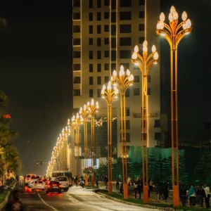 12m 15m 18m Smart LED Main Road Landscape Street Light for City Corridors