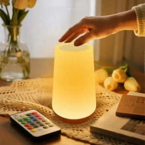 13 Colors Rechargeable LED Night Light for Bedroom Modern ABS Remote Control Atmosphere Light Warm White Emitting Touch Control