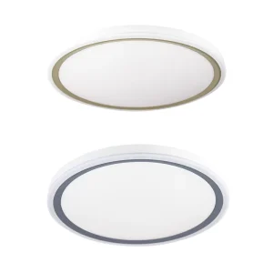 16 Inch 3000K-6500K Adjustable LED Ceiling Light AC220V 12W Indoor Light Fixture