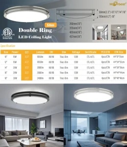 16W LED Double Ring Ceiling Light IP44 Iron Remote Control Home Office Bedroom Hallway Hotel ETL cETL
