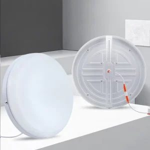 18W 24W 36W 48W Borderless Round Iron Surface-Mounted LED Panel Light for Bedrooms and Indoor Use