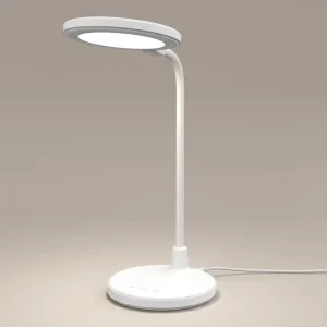 2 in 1 Desktop LED Desk Lamp with Lighted-up Mirror USB Rechargeable Mirror Lamp