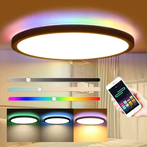 20W RGBW WiFi LED Ceiling Light with Remote Control and Multicolor Backlight