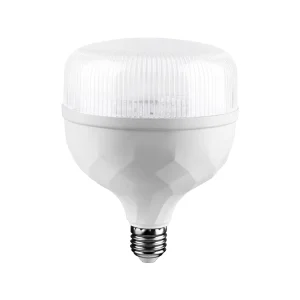 20W Transparent LED Light Bulb