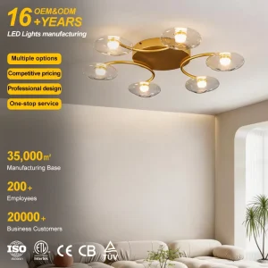 220V 18W 3000K LED Ceiling Light