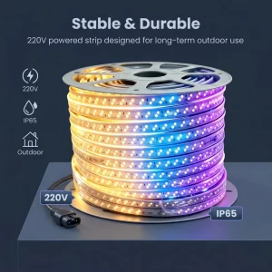 220V Color-Changing LED Rope Strip SMD2835 180 LEDs/m Diagonal Double Row Warm White Blue Purple with Lead Wire