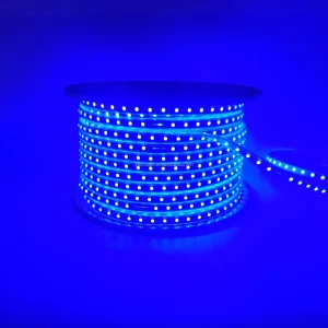 220V RGB 60led m 5050 Chip LED Strip Light IP65 Waterproof Home Decor with PVC Body Smart Strip Lights