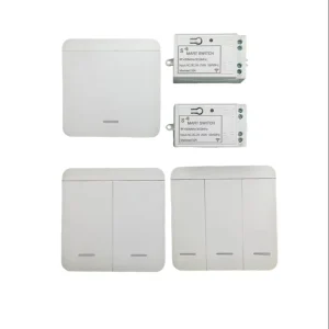 220V Wireless Panel Switch Waterproof ABS Dual Control Smart Light Switch Wall Mounted