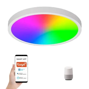 22W LED Smart Ceiling Light Switch Control IP20 Ra80 Surface Mounted for Home or Office
