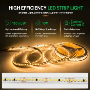 24V LED Strip Light 160lm/W 10m SMD LED Tape