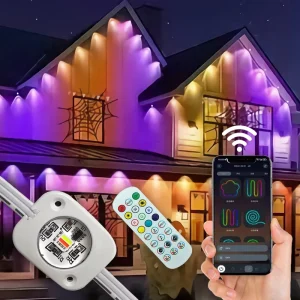 24V Waterproof Outdoor Christmas LED Pixel Point Lights for Permanent Decorative Lighting