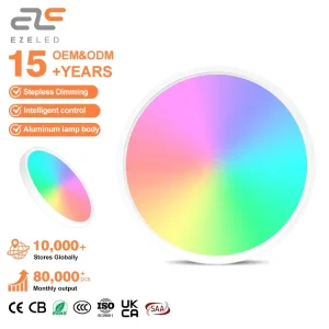 24W Dimmable Round LED Ceiling Light Living Room