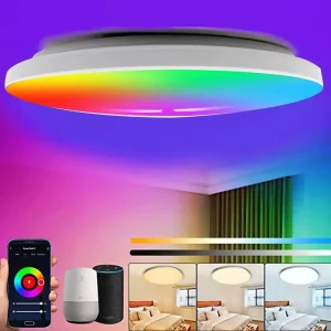 24W Indoor WiFi RGB+CCT Smart LED Ceiling Light with Voice and Remote Control High CRI 90