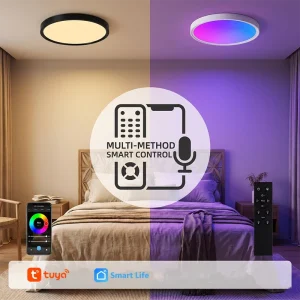 24W RGB LED AC Surface-Mounted Dimmable Remote-Control Ceiling Light for Bedroom and Living Room