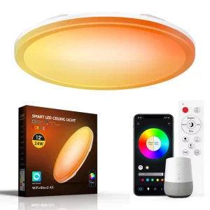 24W RGBCW Smart LED Ceiling Light with Remote Control for Living Room