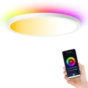 24W RGBWW WiFi Smart LED Ceiling Lamp with APP Control and PC Body