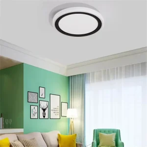 24W Round Surface-Mount LED Ceiling Panel Light with Edge Nightlight, Black and White, ETL, AC Iron