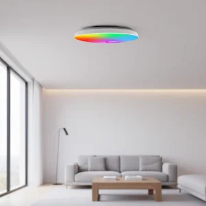 24W Smart RGB LED Ceiling Light with App Control, Contemporary Surface-Mounted Design