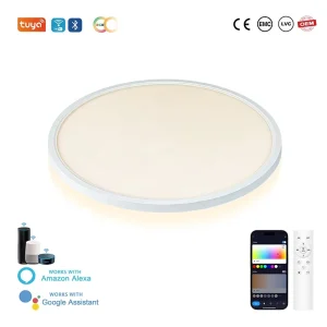 24W WiFi App-Controlled Dimmable Smart LED Ceiling Light with PC Housing for Living Room