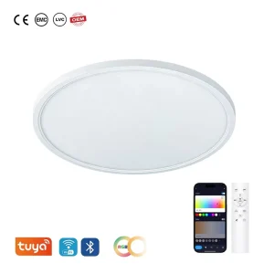 24W WiFi-Controlled Dimmable LED Ceiling Light for Bedroom and Living Room