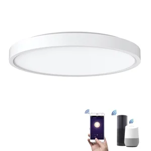 24W WiFi Voice/App-Controlled Round Dimmable RGB LED Ceiling Light, Surface-Mounted