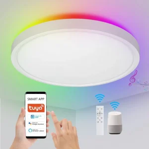 24W WiFi Voice Remote Control Round RGB Smart LED Ceiling Light