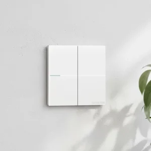 250V Electric Wall Double Push Button Indoor Switch
