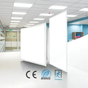 2×2 2×4 LED Flat Panel Light 60x60cm 60x120cm Slim Panel Light 30W 40W