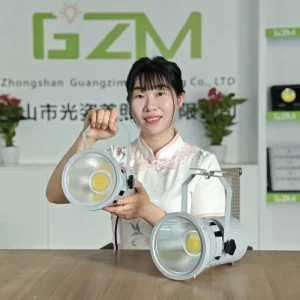 3 CCT LED Signboard Spotlight, 120W