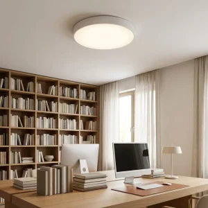 3000K-6500K PC 32W 48W AC 100-265V Surface Mounted OEM Ceiling Light for Living Room