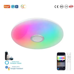 30W WiFi Smart LED Ceiling Light with Adjustable Color Temperature 3000-6500K, Minimalist Surface Mount