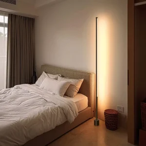 3CCT Remote Control 160CM PS Floor Lamp Indoor USB Cord LED Floor Stand Lighting LED Floor Light for Home Decoration