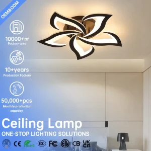 40W LED Ceiling Light 60cm Modern Petal Design Dimmable 3500K-6000K Remote Black for Living Room Bedroom Dining Room