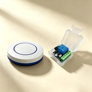 433MHz Wireless Remote Control Light Switch, 220V/110V 10A Relay Controller with Mini Button Wall Panel