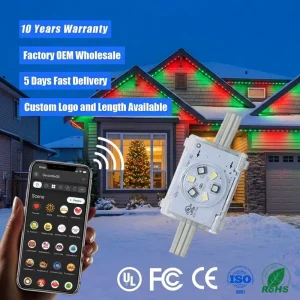48V IP68 Permanent Outdoor RGBIC Christmas Point Lights with Smart WiFi Controller for Buildings