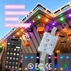 48V Jellyfish Permanent Outdoor RGBW Lighting with Smart App Controller and 6 LED Point Lights