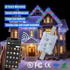 48V Rgbw Smart Outdoor Waterproof IP68 Permanent Christmas Lighting 20MM Jellyfish 6 Led Point Light Source